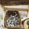 Eco-friendly pots