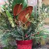 Seasonal Containers